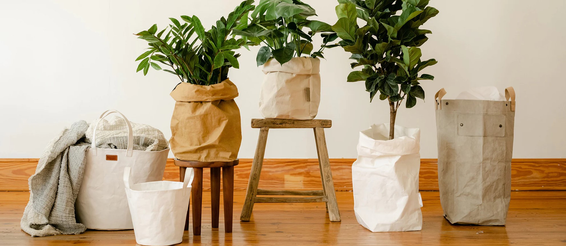 Natural Fibre Paper: A Sustainable Revolution for Everyday Essentials ...